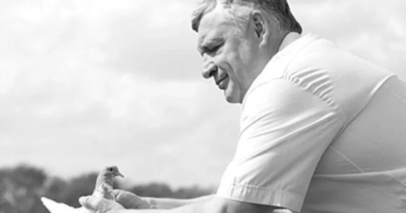 Tanınmış iş adamı suda boğularaq öldü