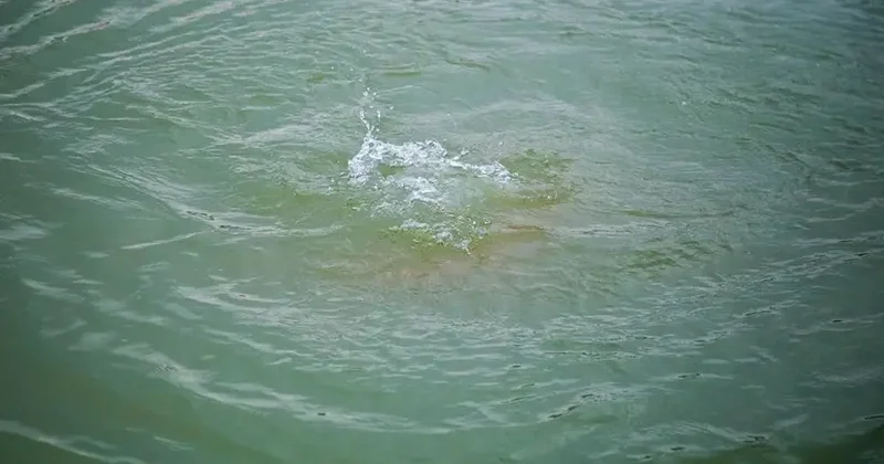 Tərtərdə suvarma kanalında 1 nəfər batıb