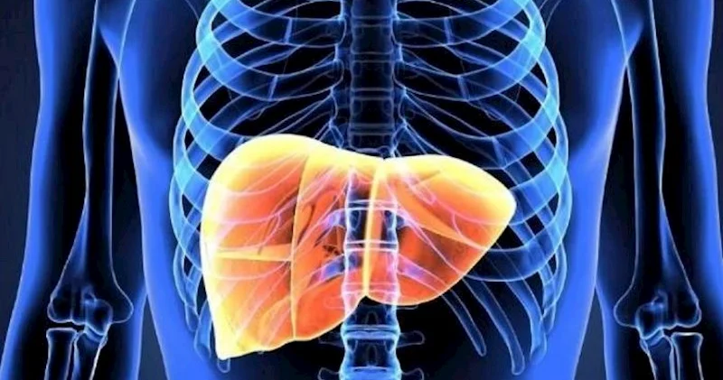 “Zombi hüceyrə” nədir və qaraciyərə hansı mənfi təsirləri var?