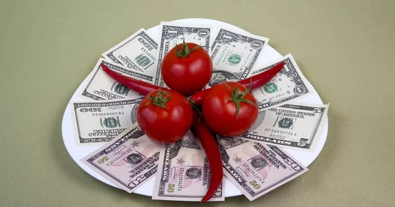 Азербайджанские томаты все больше закупаются за границей: ЦИФРЫ