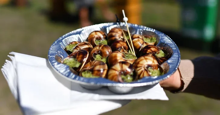 Во Франции усилили охрану фермерских хозяйств из за кражи улиток