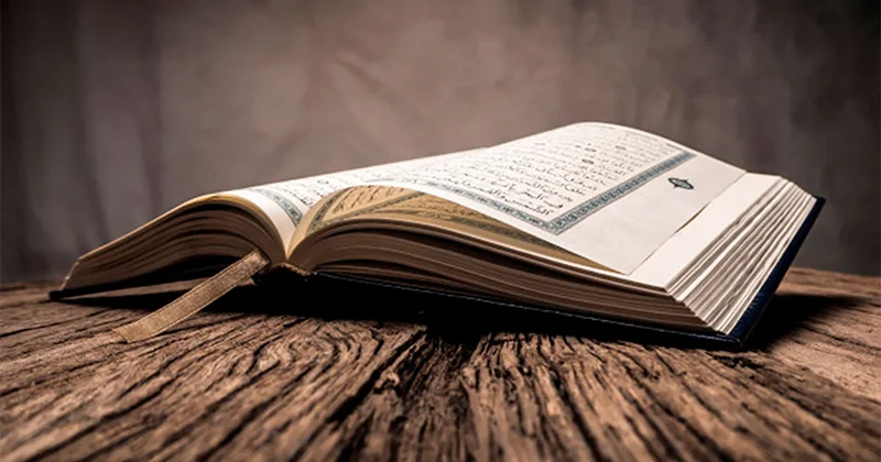 В Стокгольме осквернили священную книгу мусульман Minval Politika