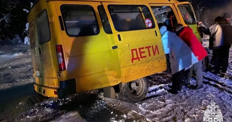 В России в ДТП со школьным микроавтобусом пострадали 14 человек