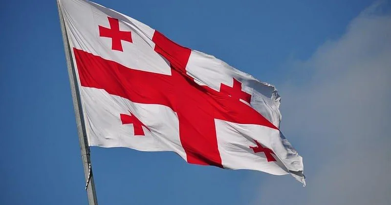 Стало известно, когда Грузия станет председателем ОЧЭС