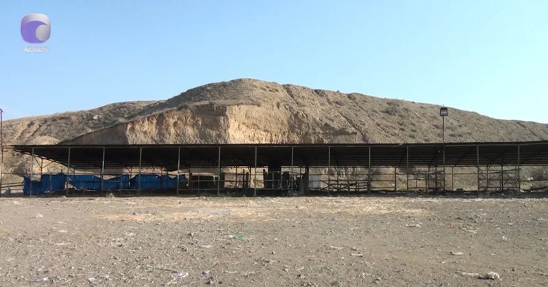 Tovuzda heyvan bazarı nə vaxt açılacaq? (VİDEO)