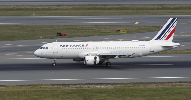 У летевшего из Парижа самолета загорелось крыло