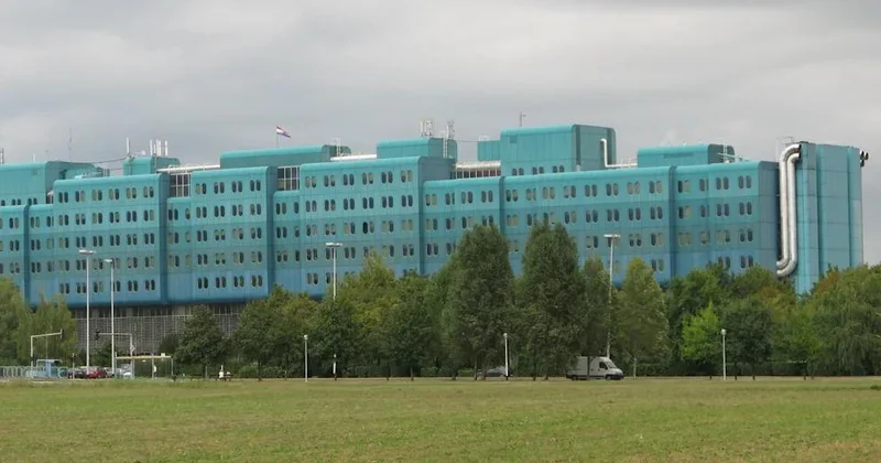 Avropanın iki ölkəsində yeni cüzam halları qeydə alınıb