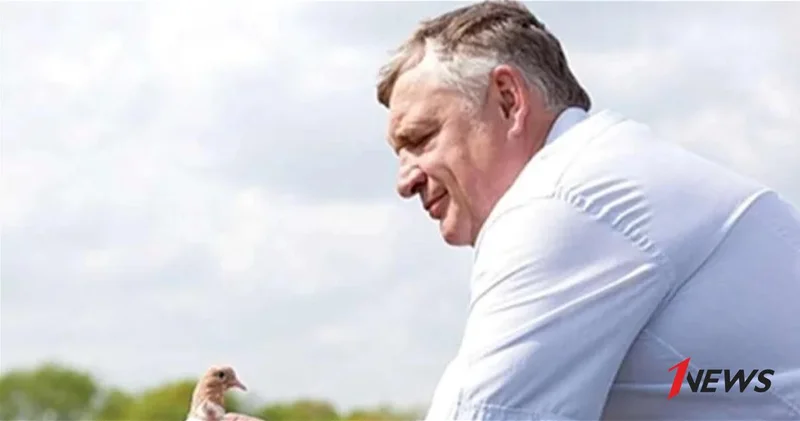 Во время лодочной прогулки утонул лидер крупнейшей преступной группировки 1990 х Аверин