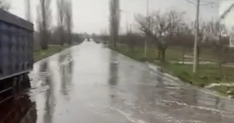 Россия атакует подсолнечное масло видео