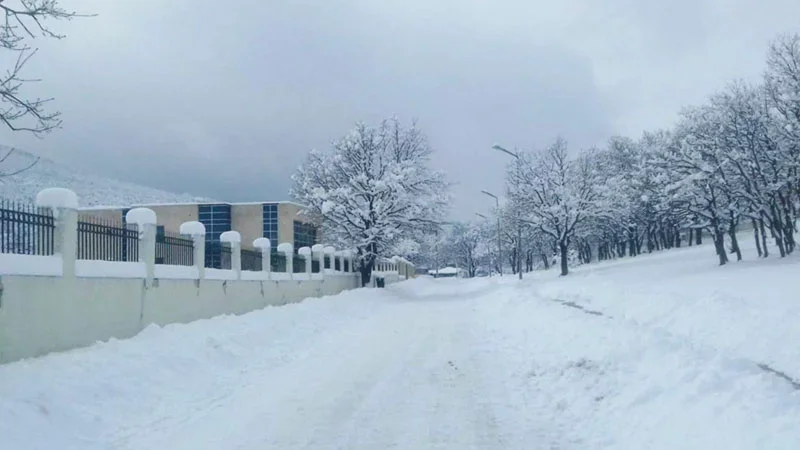 Fevralda Azərbaycana qar yağacaq PROQNOZ