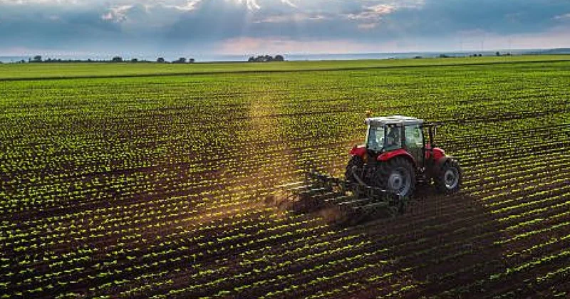 Перекупщики зарабатывают больше фермеров О проблемах сельского хозяйства в Азербайджане