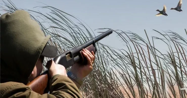 Bakıda çöl quşları ovlayanlar TUTULDU