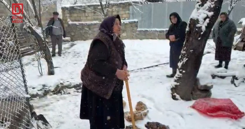 Şəkidə onlarla ailə TƏHLÜKƏ qarşısında Ev quşlarının qənimi tapılacaqmı? FOTO/VİDEO