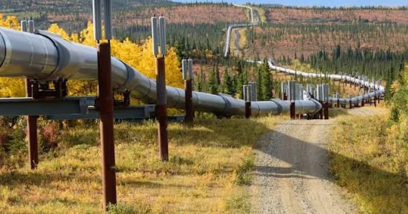 Прокачка нефти по Баку Тбилиси Джейхан снизилась