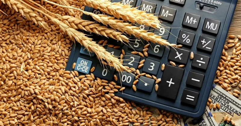 Импорт пшеницы из Казахстана в Грузию вырос в 70 раз