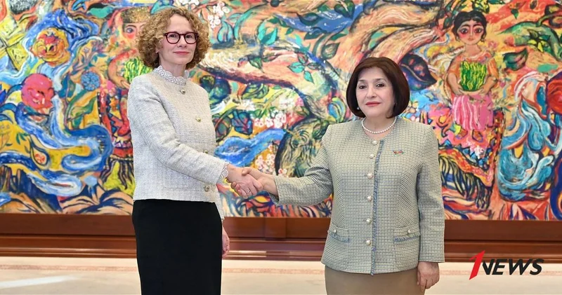 На встрече с делегацией НАТО в Милли Меджлисе обсуждены перспективы двустороннего сотрудничества ФОТО