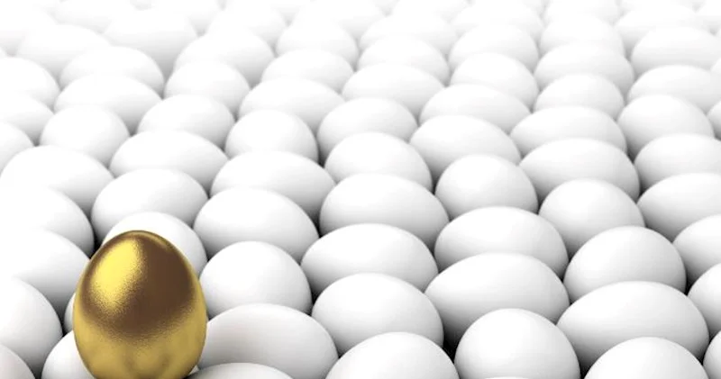 Almaniyadan Azərbaycana 1 manata yumurta gətirilib