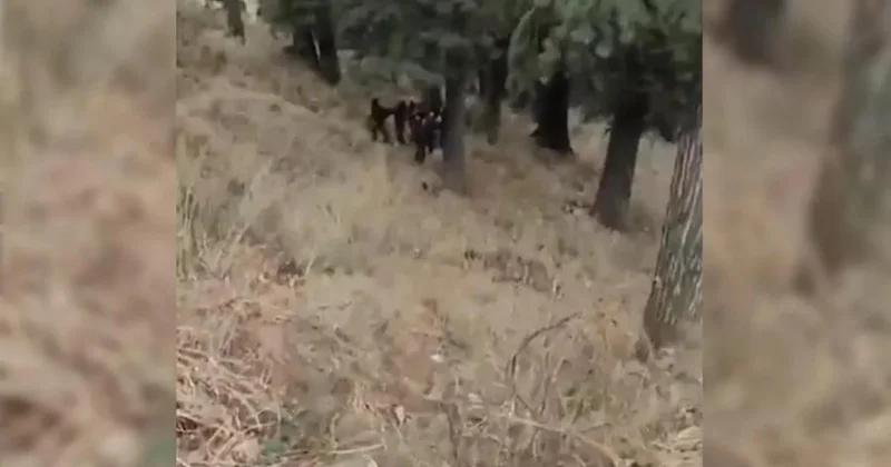 Hindistanda hərbi maşın dərəyə düşdü 10 əsgər həyatını itirdi