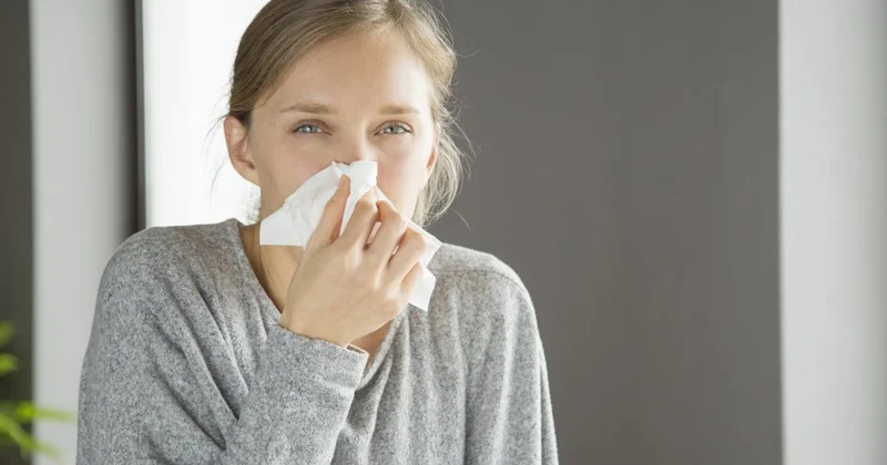 Alimlər soyuqdəymədən niyə qrip tuta bilmədiyinizi izah ediblər