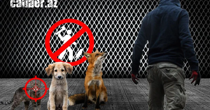 Сегодня лиса, а кто завтра? Обыкновенный садизм