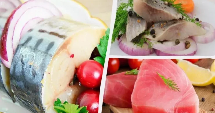 Vitamin D ən çox hansı balıqda olur: 6 ən faydalı növ