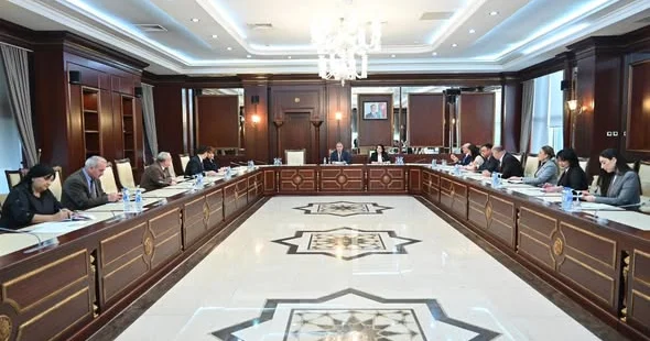 Milli Məclisin təbii ehtiyatlar, energetika və ekologiya komitəsi hesabat verib