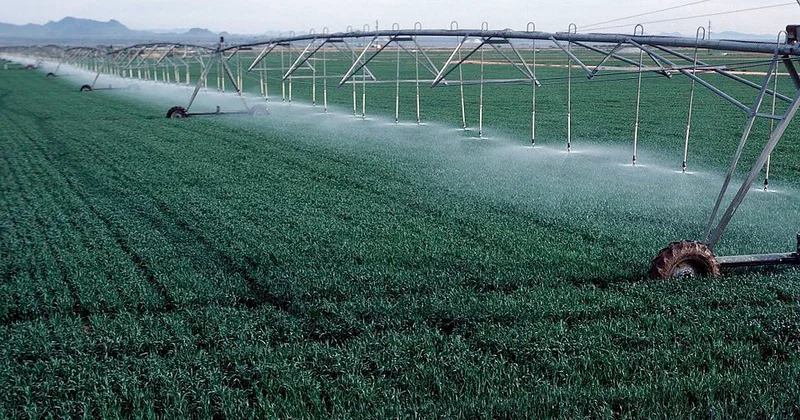 Zəngilanın əti, südü, balı…