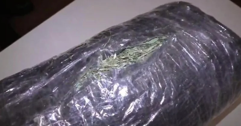 Стражи порядка изъяли крупную партию марихуаны Minval Politika