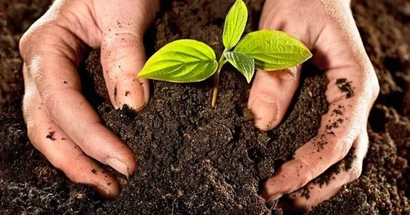 Torpaq sahəsini özbaşına tutanları bu cəza gözləyir