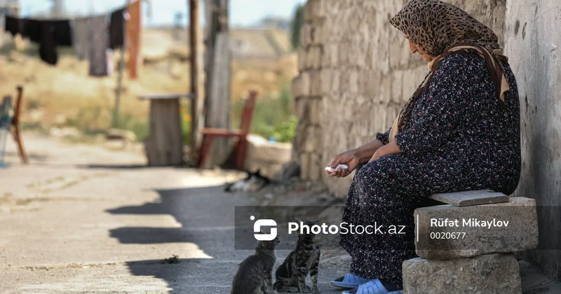 Pişiklə danışmaq normaldır? Psixiatrdan maraqlı açıqlama