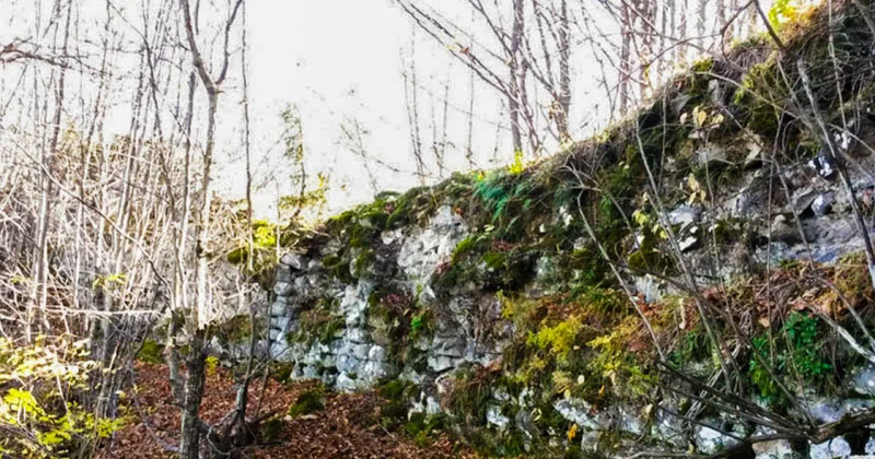 Шахмалиев и Новрузов искали клад. Генпрокуратура возбудила дело