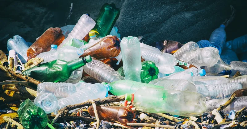 Дело о пластике