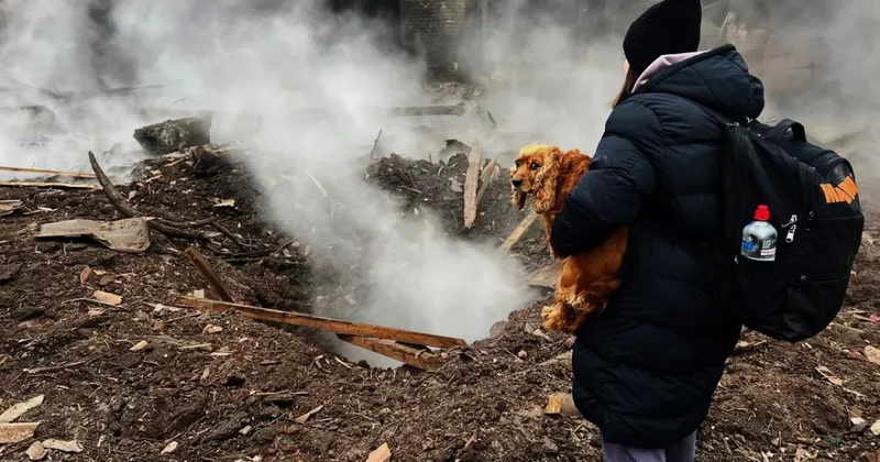 РФ нанесла удар по Кривому Рогу: есть пострадавшие ФОТО