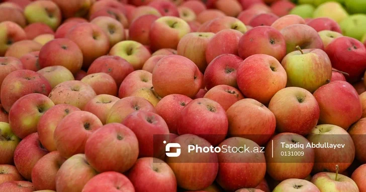 АПБА предупреждает: неправильное применение пестицидов ставит под угрозу экспорт продукции