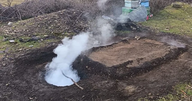 Oğuzda qanunsuz kömür quyuları aşkarlandı FOTO