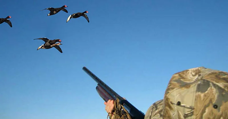 Qaradağda qanunsuz ov edən şəxslər saxlanılıb