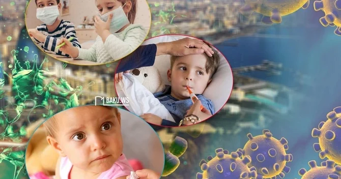 TƏBİB in direktoru Azərbaycanda yayılan virusdan DANIŞDI