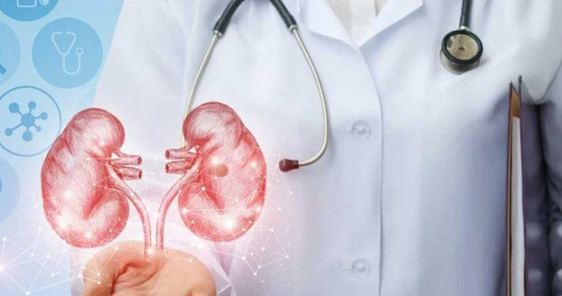Azərbaycanda böyrəklər robotik üsullarla köçürüləcək
