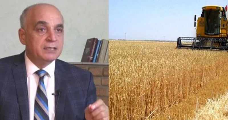 BUĞDA İSTEHSALI 20 İL ƏVVƏLKİ SƏVİYYƏYƏ DÜŞÜB “Bu sahəyə milyardlar ayrılıb, ancaq...”