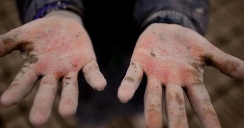 В Азербайджане ужесточат ответственность за детский труд