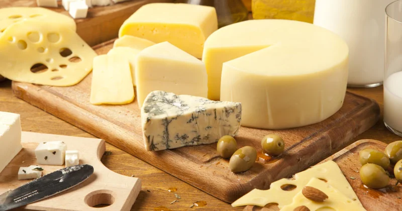 Раскрыта норма употребления сыра в день