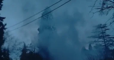 Gəncədə parkda yanğın baş verdi VİDEO