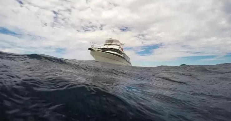 Qadınla görüşmək üçün okeanı keçib Rusiyaya gəldi, həbs olundu VİDEO