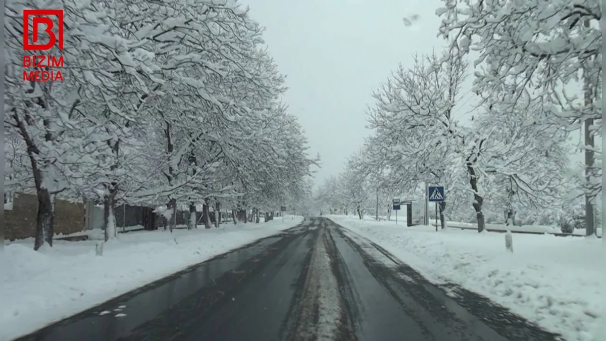 Ağ örpəkli Qaxdan xüsusi REPORTAJ FOTO