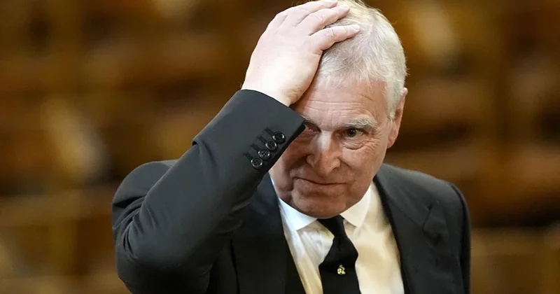 Telegraph: Экс принц Эндрю мог использовать самолеты ВВС для встреч с Эпштейном
