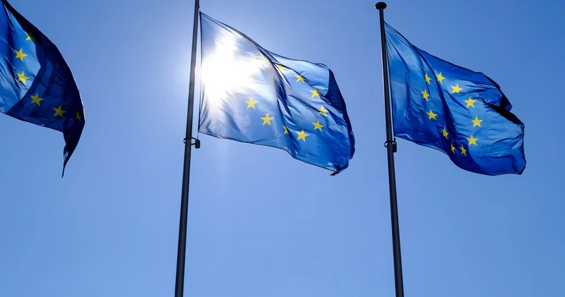 В Германии заявили о логике мафии в ЕС