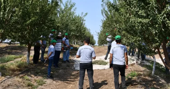 Aqropark şirkətində 21 milyon manat zərər yığılıb