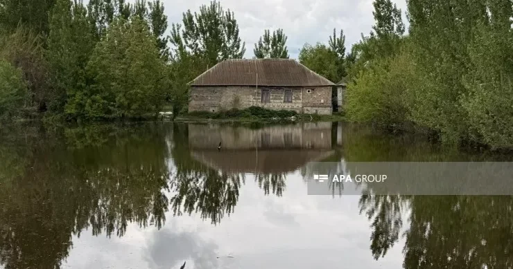 Kür daşdı, Zərdabı su basdı FOTO