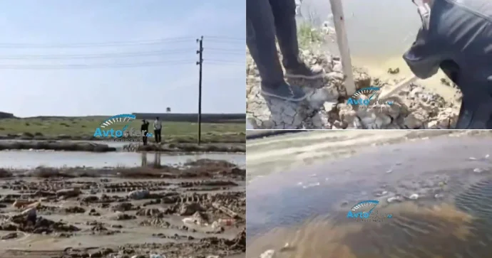 Masazırda məktəblilər gölləri birləşdirib sosial şəbəkədə yaydı VİDEO