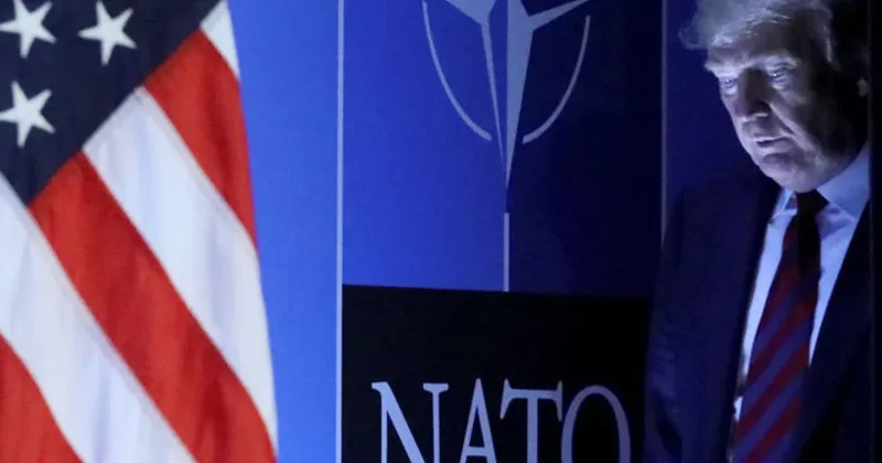 Politico: США разделили союзников по НАТО на образцовых и непослушных